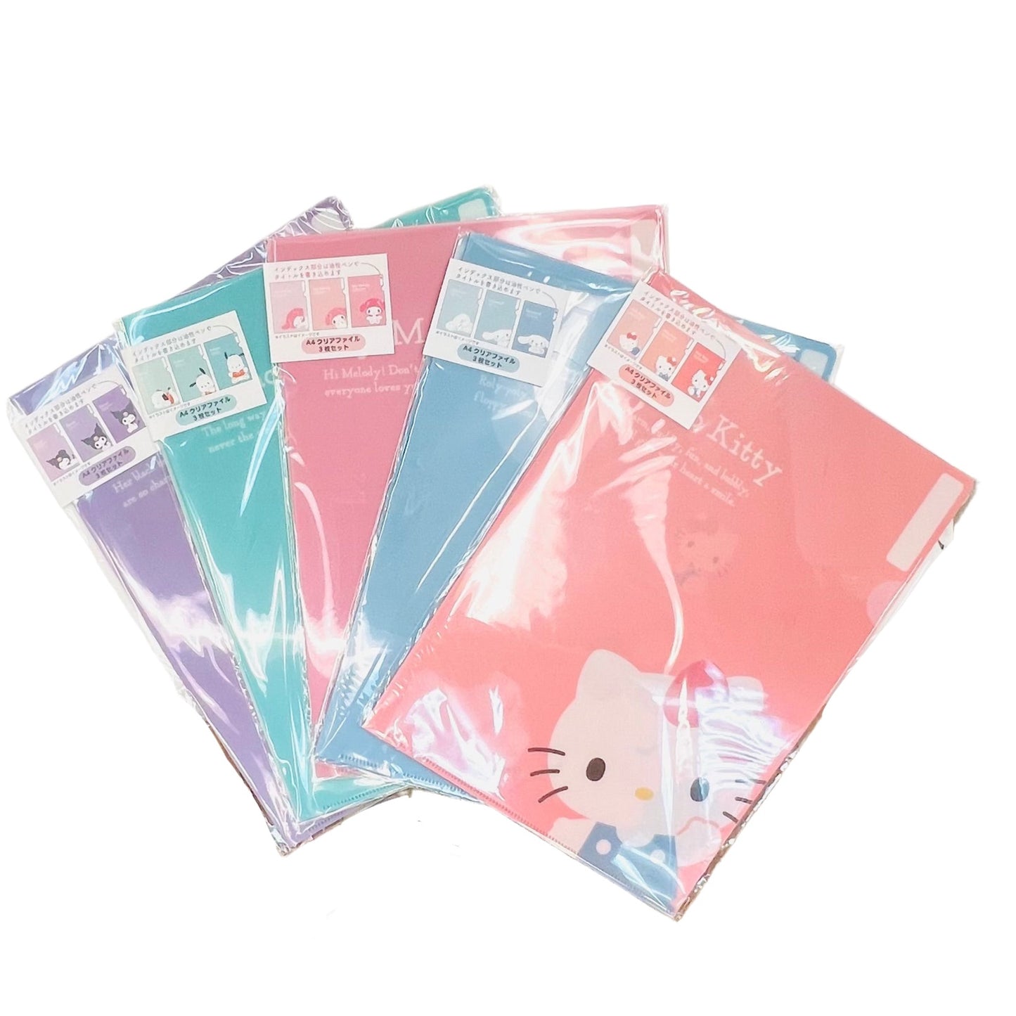 Sanrio SCHOOL Clear File