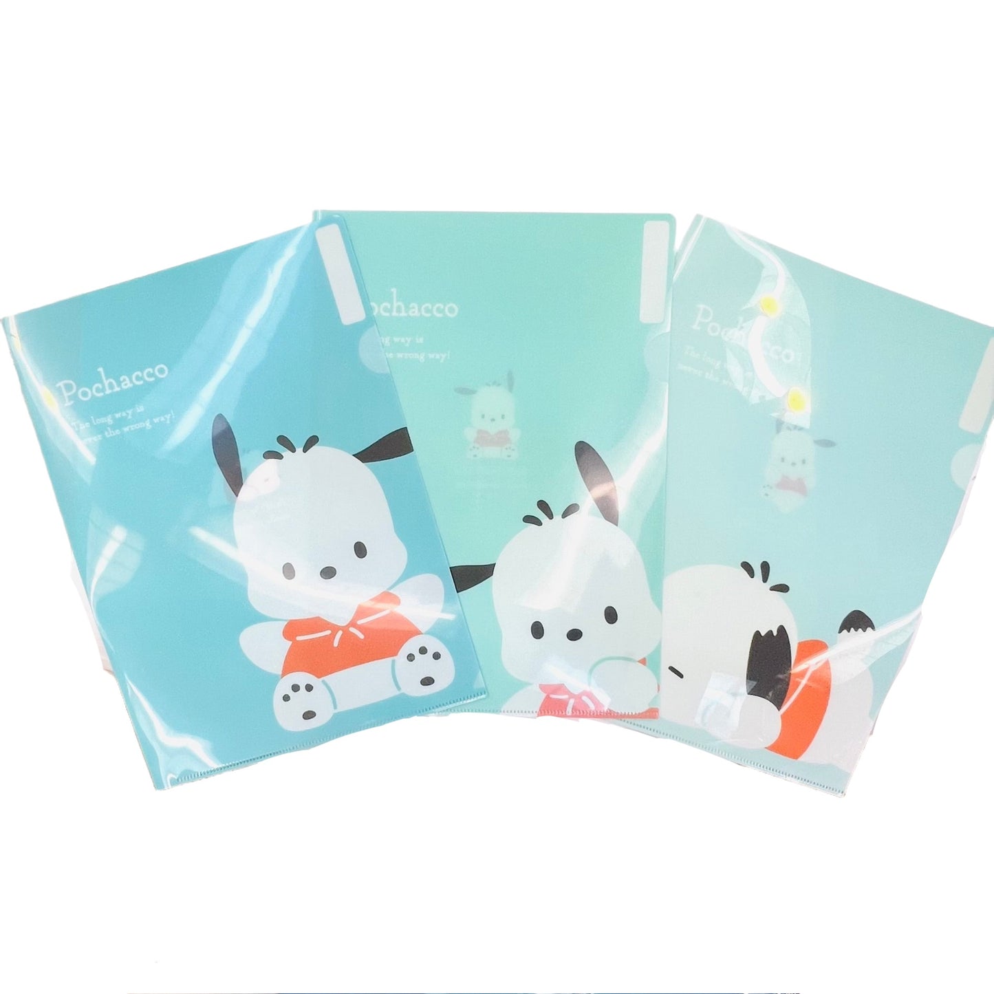 Sanrio SCHOOL Clear File